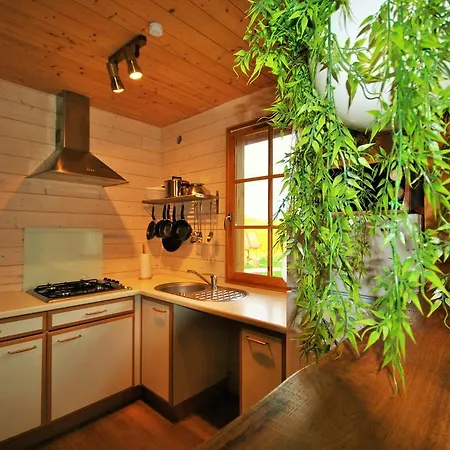 Chalet B1 Saint-Fargeau-Ponthierry